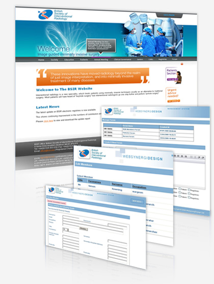 BSIR Website and Bespoke CMS