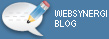 Websynergi Blog
